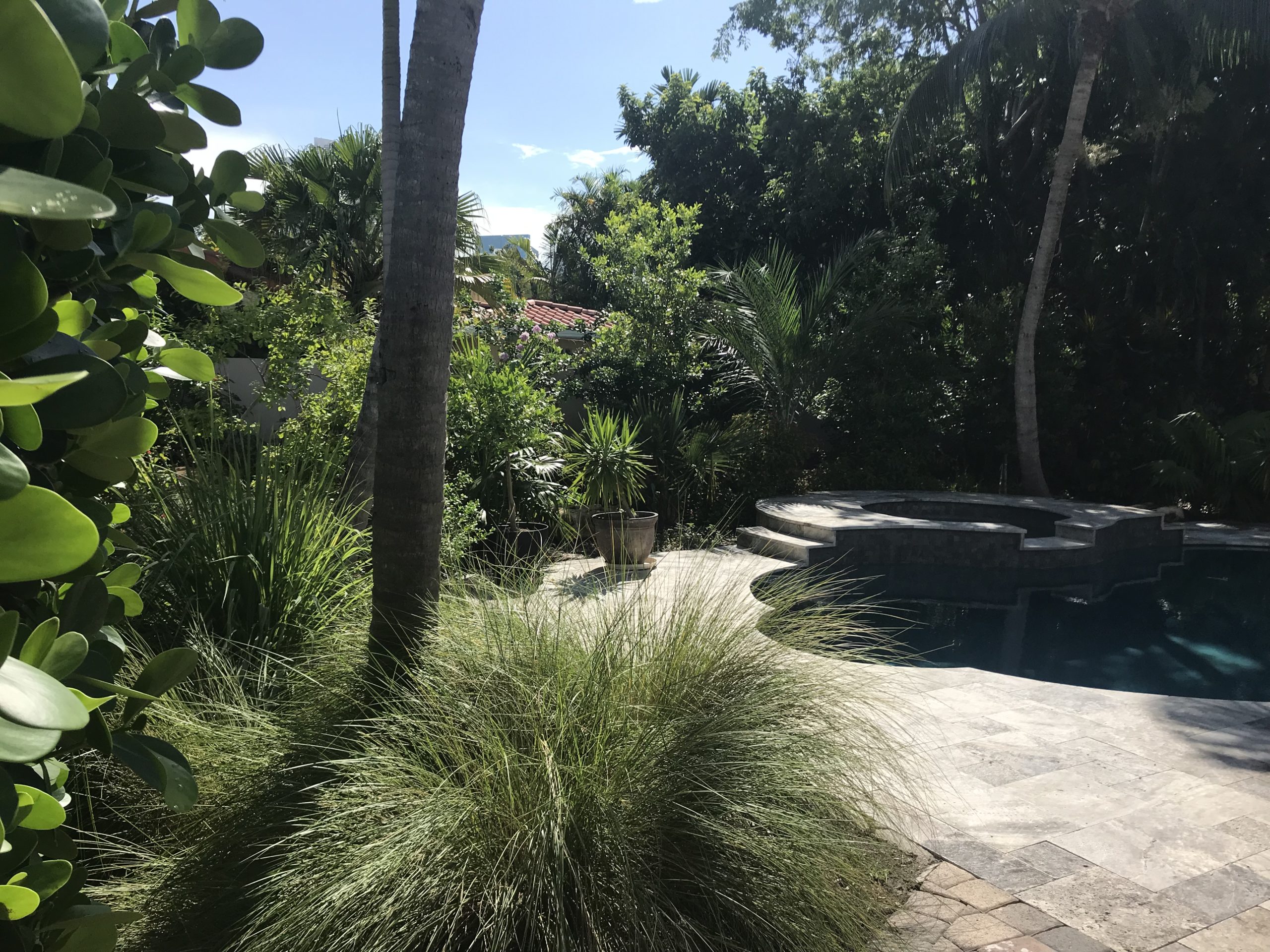 Xeriscape, Landscaping, South Florida